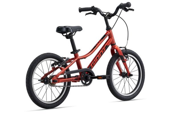 Велосипед Giant ARX 16 F/W (2022)